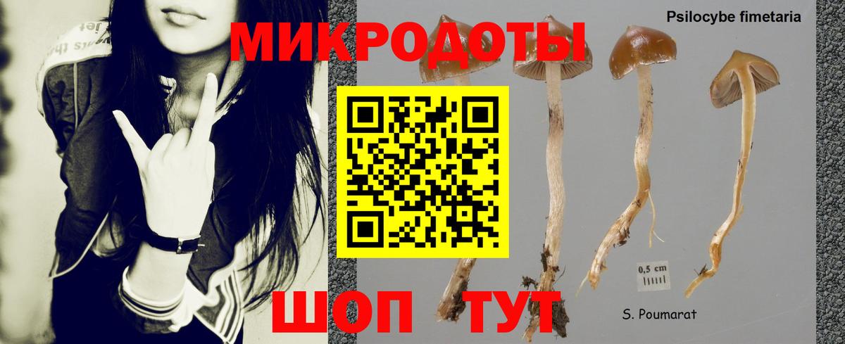 Кириши  Галлюциногенные грибы прущие грибы  Вход с VPN 